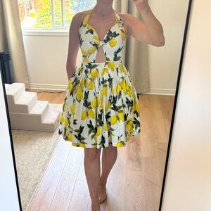 Hearts and Found Cotton a-line halter neck lemon 50’s dress - large